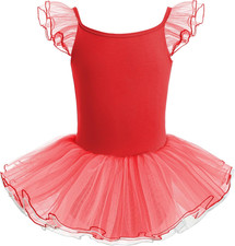 Ragazza Vestito Da Balletto