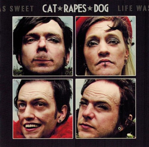 Cat rapes dog - cat, sweet