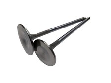 Valvole di aspirazione BC