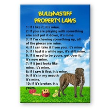 MAGNETE leggi di proprietà