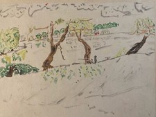 Pittura Aquarello Gouache