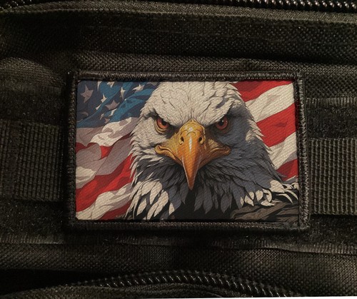 Patriot bald eagle - bald, patch