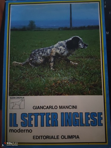 Giancarlo mancini setter - mancini,