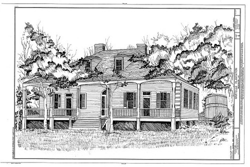 Foto wartelle plantation - wartelle,