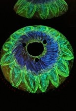 Artworked Steel Pan drum - 17 Notes