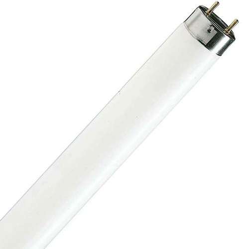 Tubo fluorescente g13 - t8,