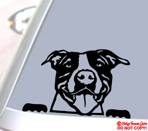 Adesivo pitbull finestra auto - pitbull,