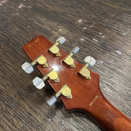 Aria pro dlx - aria, chitarra