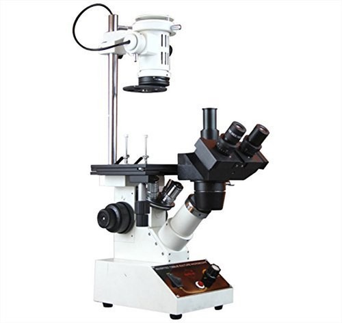 Microscopio trinoculare