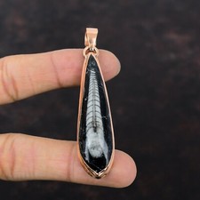 Ciondolo fossile Orthoceras