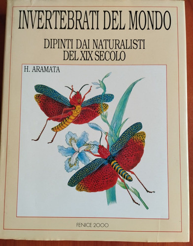 Invertebrati del mondo dipinti - invertebrati,