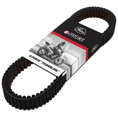 Cinghia trasmissione variatore - cinghia,