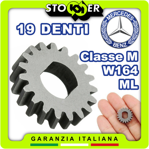 Ingranaggio denti motorino - denti,