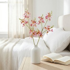 Piccola farfalla orchidea - piccola,