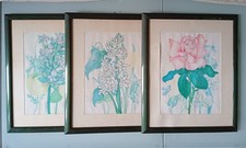 3 cornici in legno verde con stampe botaniche