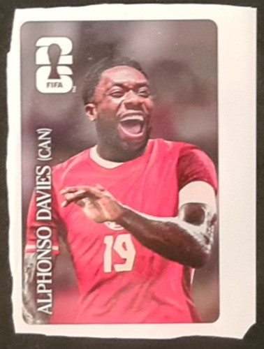 Panini fifa world cup - panini,,