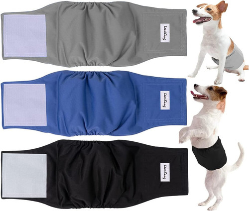 Pannolini cane maschio - cane,