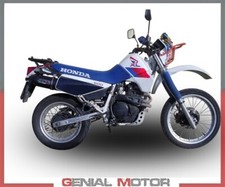 Terminale di Scarico GPR