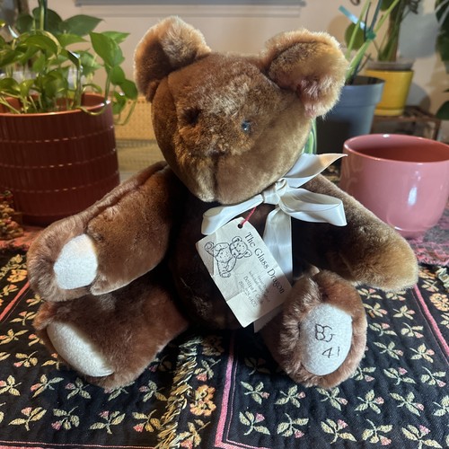 Raro orso marrone - orso,