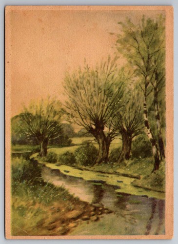 Cartolina paesaggio bosco con - cartolina,