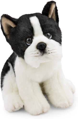 62602 cagnolino boston terrier - cagnolino,