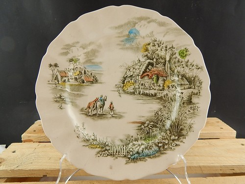 Vintage piatto semi porcellana - semi,
