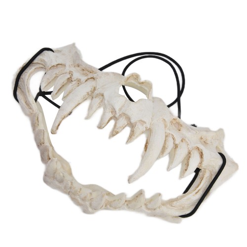 Maschera teschio lattice tipo - maschera,
