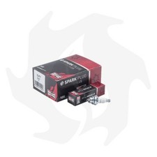 CANDELA DI ACCENSIONE CHAMPION