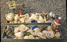 Enorme lotto bellissime