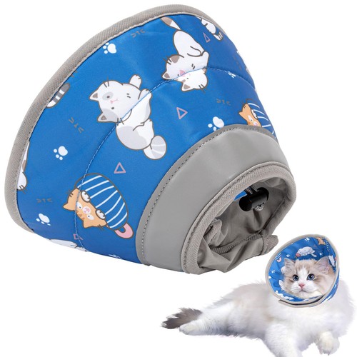 Collare elisabettiano gatto - elisabettiano,