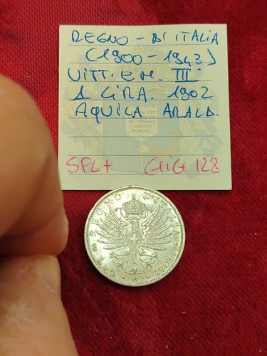 Moneta lira 1902 - moneta,