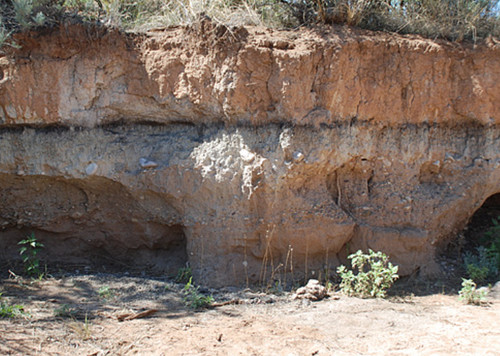 Nero mat paleosol biochar - nero,