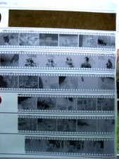 Lotto negativi fotografici RDT