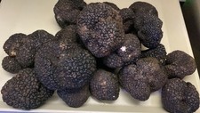 Tartufo Nero Uncinato 100 Gr Di Prima Scelta Gusto  Pregiato Per i Tuoi Piatti