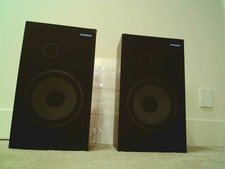 Pioneer CS-101WAII