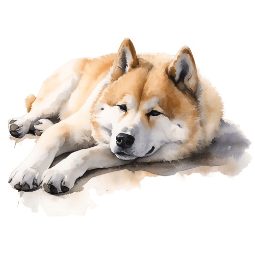 Adesivi akita inu - adesivi,