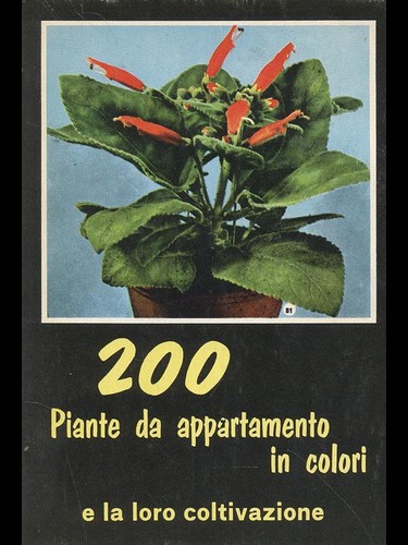 200 piante appartamento in - 200,