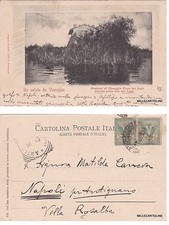 # VIAREGGIO: DINTORNI - TORRE DEL LAGO - CASETTA SULLA RIVA DEL LAGO  1901