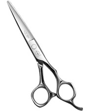 Mizutani Schorem Master