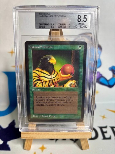 Magic mtg natural selection - magic,