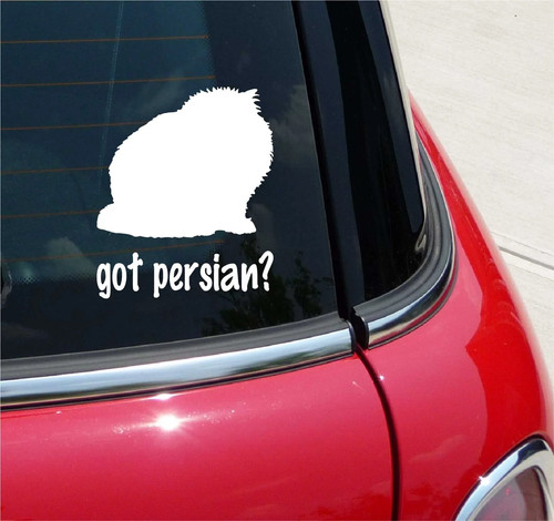 Got persian adesivo - adesivo,