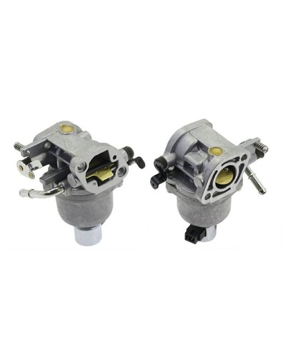 Briggs stratton carburatore - &,