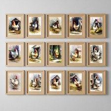 Collezione gallo aziendale - collezione,
