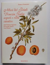 Franco Fornasaro ALBERI DEL