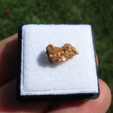 Minerali *** RARA PEPITA d'ORO