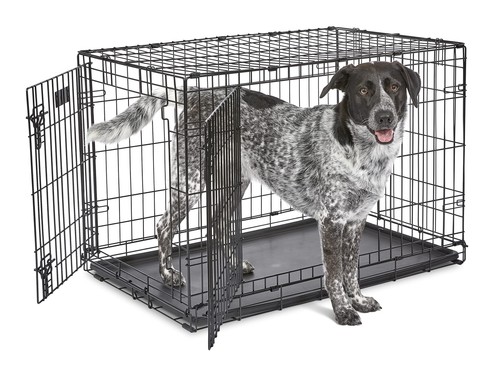 Midwest homes for pets gabbia - homes,