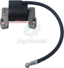 Bobina motori briggs - bobina,
