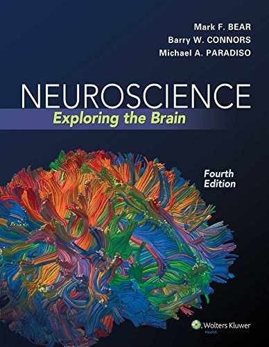 Neuroscience exploring the - neuroscience:,