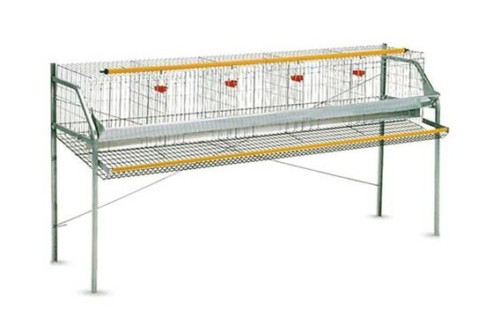 Gabbia galline ovaiole piano - galline, 1