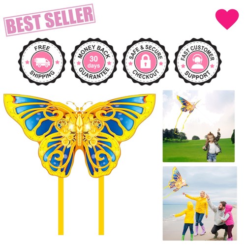 Eye catching butterfly kite - eye-catching,
